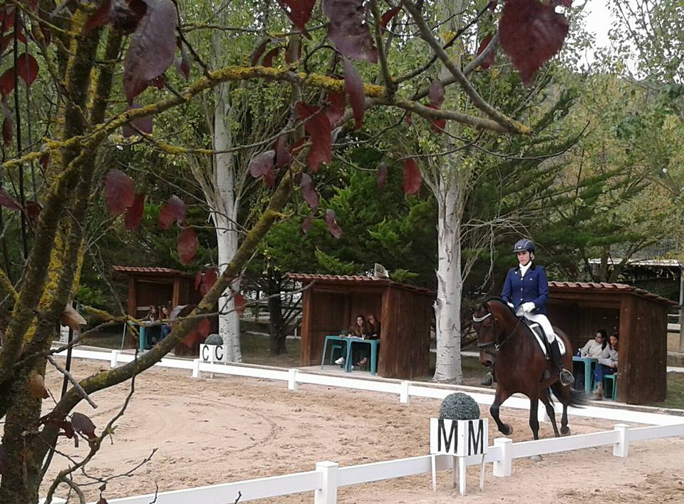 Finales Campeonato Navarro Doma Clásica 2016